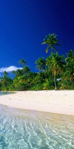 Landscape,Sea,Palms,Beach