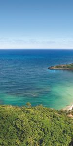 Paysage,Mer,Palms,Plage