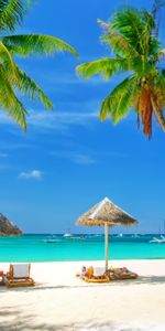 Landscape,Sea,Palms,Beach