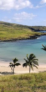 Palms,Paysage,Mer,Plage