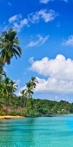 Paisaje,Palms,Mar,Playa