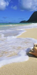 Landscape,Sea,Shells,Beach