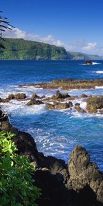 Landscape,Sea,Waves