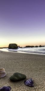 Landscape,Shells,Beach