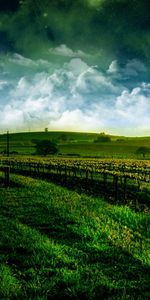 Landscape,Sky,Art,Fields