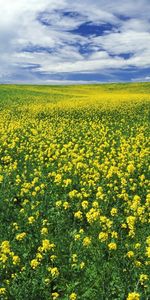 Los Campos,Cielo,Nubes,Paisaje