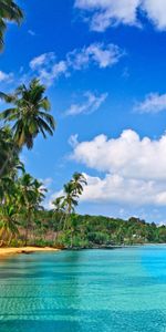 Landscape,Sky,Clouds,Sea,Palms,Beach