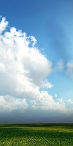 Nuages,Paysage,Arbres,Sky