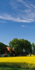 Sky,Les Champs,Paysage