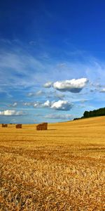 Paysage,Sky,Les Champs