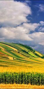 Paisaje,Los Campos,Cielo