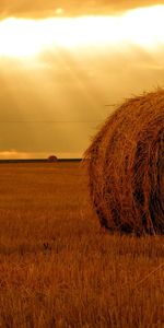 Landscape,Sky,Fields