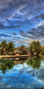 Landscape,Sky,Palms