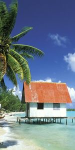 Palms,Sky,Paysage,Plage