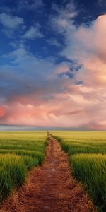 Landscape,Sky,Roads,Clouds,Fields