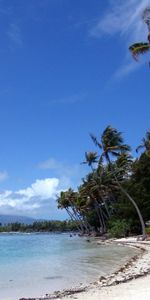 Landscape,Sky,Sea,Palms,Beach