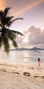 Paysage,Sky,Palms,Mer,Plage