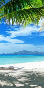 Landscape,Sky,Sea,Palms,Sand,Beach