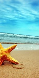 Landscape,Sky,Sea,Starfish,Beach