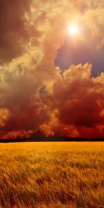 Landscape,Sky,Sun,Clouds,Fields