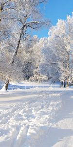 Paisaje,Invierno,Nieve