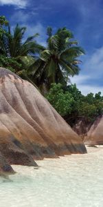 Landscape,Stones,Palms,Sea,Beach