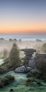 Landscape,Stones,Trees