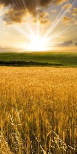 Landscape,Sun,Clouds,Fields