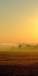 Paisaje,Los Campos,Sol