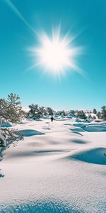 Sun,Nature,Neige,Hiver,Paysage