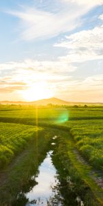 Landscape,Sunlight,Bright,Field,Glare,Road,Nature