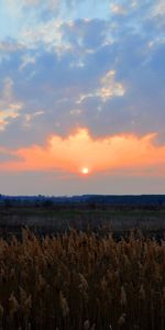 Landscape,Sunset