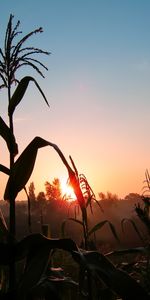 Landscape,Sunset