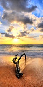 Landscape,Sunset,Beach