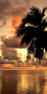 Landscape,Sunset,Beach