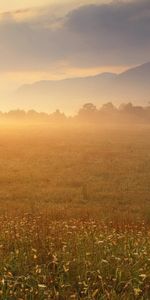 Les Champs,Coucher De Soleil,Paysage