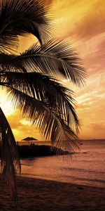 Coucher De Soleil,Palms,Paysage,Plage