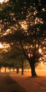 Landscape,Sunset,Roads