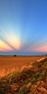 Puesta Del Sol,Paisaje,Los Campos,Carreteras