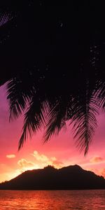 Paysage,Palms,Mer,Coucher De Soleil