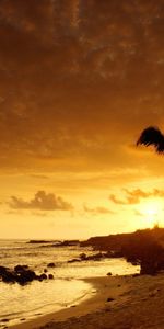 Landscape,Sunset,Sea,Palms