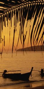 Coucher De Soleil,Mer,Palms,Bateaux,Paysage