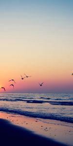 Mouettes,Ondulations,Coucher De Soleil,Mer,Paysage