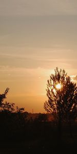 Paysage,Arbres,Sky,Sun,Coucher De Soleil