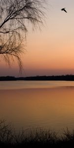 Landscape,Sunset,Sun,Lakes,Trees