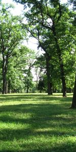 Arbres,Paysage