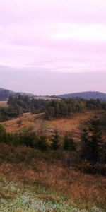 Arbres,Paysage