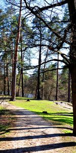 Landscape,Trees