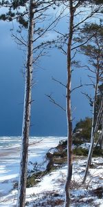 Arbres,Paysage