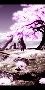 Arbres,Paysage,Anime